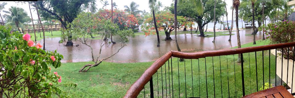 gardens